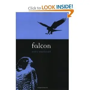 Falcon (repost)