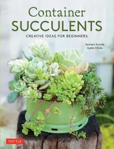 Container Succulents: Creative Ideas for Beginners