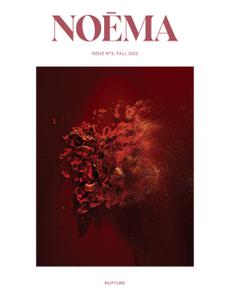 Noema Magazine – November 2022