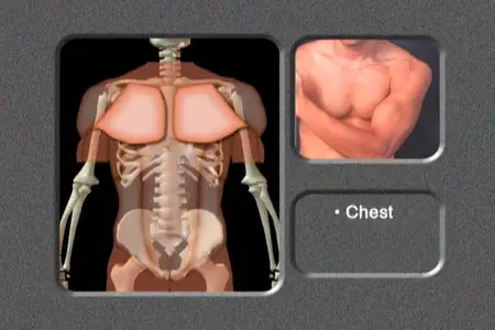 Larry Withers - Anatomy for artists: Man In Motion [repost]