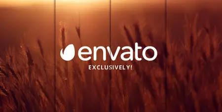 Elegant Slideshow - Project for After Effects (VideoHive)