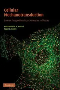 Cellular Mechanotransduction: Diverse Perspectives from Molecules to Tissues (repost)