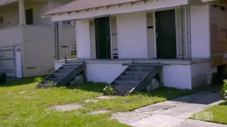 Pit Bulls and Parolees S11E04