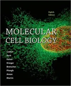 Molecular Cell Biology (8h Edition) (Repost)