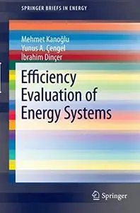 Efficiency Evaluation of Energy Systems