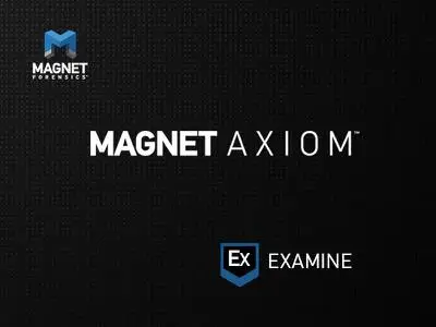MAGNET AXIOM 5.4.0.26185 (x64) Multilingual