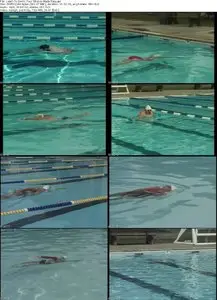 Learn To Swim - Total Immersion: Four Strokes Made Easy