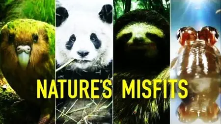 BBC - Natural World: Natures Misfits (2014)