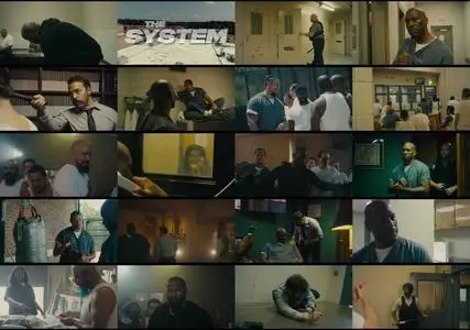 The System (2022)