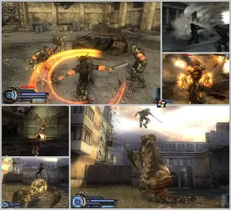 CoLLapse 2008