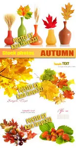 Autumn cards
