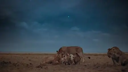 Earth at Night in Color S01E01