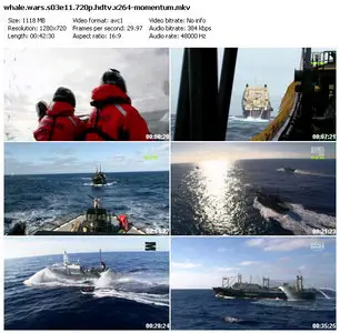 Animal Planet - Whale Wars S03E11: Fire In The Sky (2010)