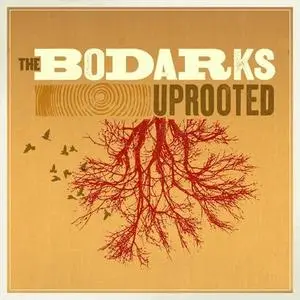 The Bodarks - Uprooted (2018)