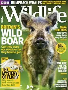 BBC Wildlife - December 2015
