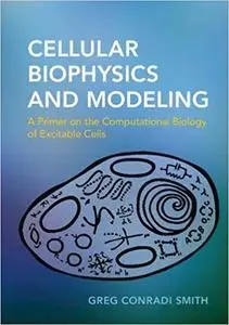 Cellular Biophysics and Modeling: A Primer on the Computational Biology of Excitable Cells