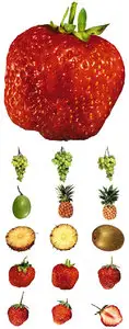 ClipArt - Camera lens. Fruit (Part 3)