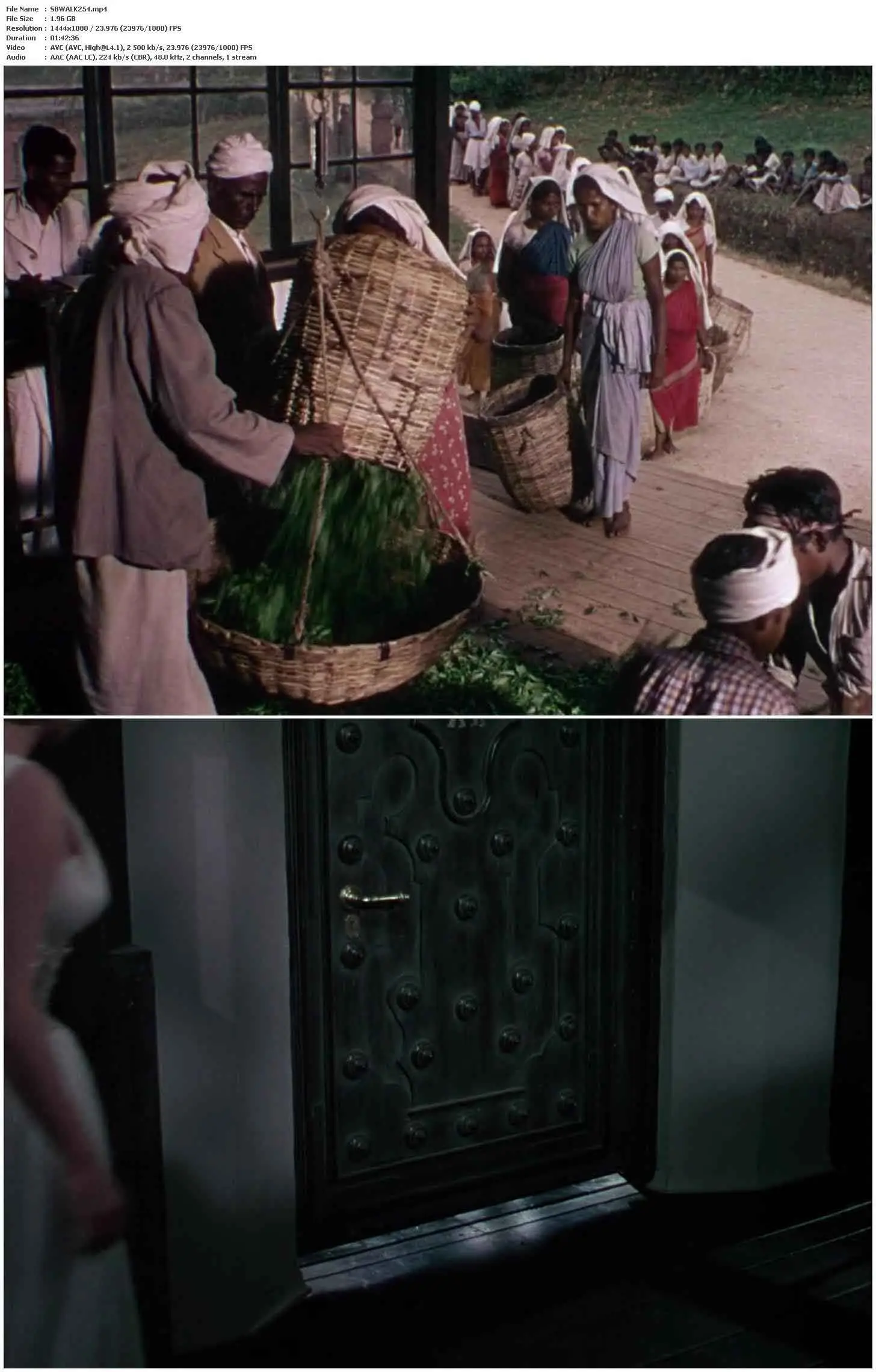 Elephant Walk (1954)