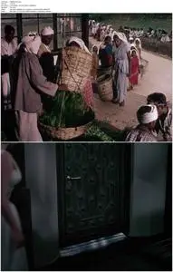 Elephant Walk (1954)