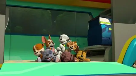 Paw Patrol S06E01