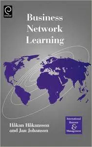 Business Network Learning (International Business and Management)