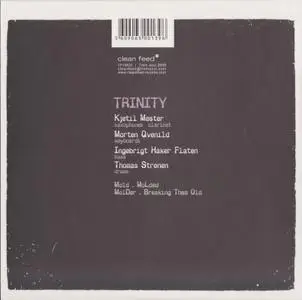 Trinity - Breaking The Mold (2009)