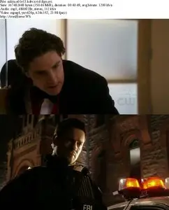 Nikita S01E13