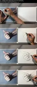 How to Draw From Beginner to Master