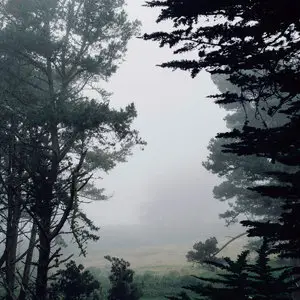 Deceptikon - Presidio (2015)