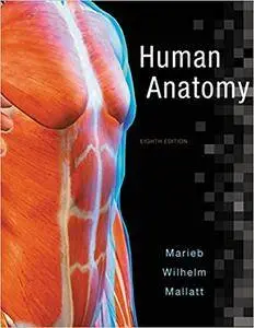 Human Anatomy, 8th Edition