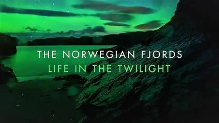 ZDF - The Norwegian Fjords: Life in the Twilight (2018)