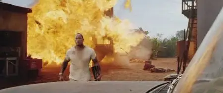 Bienvenue dans la jungle