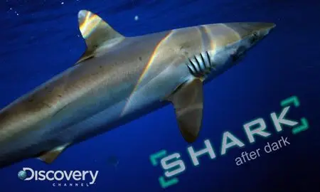 Discovery Channel - Shark After Dark  (2009)