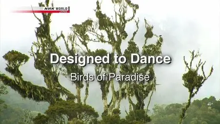 NHK Wildlife - Designed to Dance: Birds of Paradise (2011)