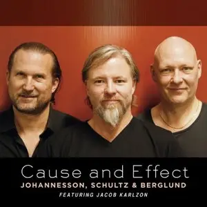 Johannesson, Schultz & Berglund - Cause and Effect (2012)