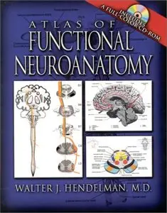 Atlas of Functional Neuroanatomy by Walter Hendelman M.D.