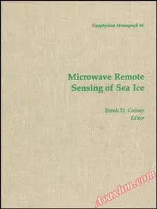 Microwave Remote Sensing of Sea Ice