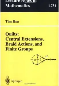 Quilts: Central Extensions, Braid Actions, and Finite Groups