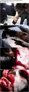 American Guinea Pig: Bouquet of Guts and Gore (2014)