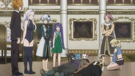 Fairy Tail 011-020 (2014)