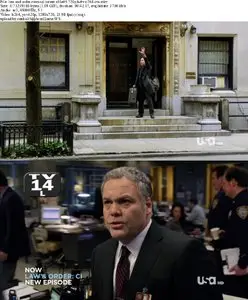 Law & Order: Criminal Intent S10E05
