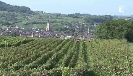 (Fr3) Des racines et des ailes : Passion patrimoine, le goût du Jura (2012)