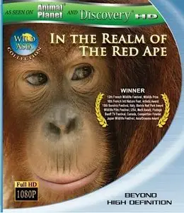Wild Asia In the Realm Of The Red Ape