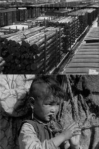 Turksib (1929)