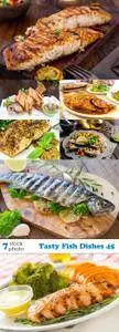 Photos - Tasty Fish Dishes 45