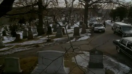 Darkman II: The Return of Durant (1995)