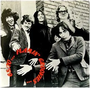 Flamin' Groovies - Live 68/70 (1992)