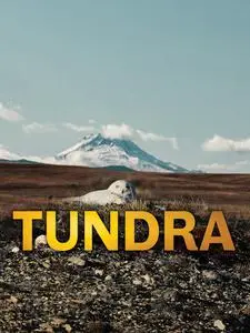 Tundra! (2021)