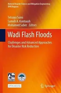 Wadi Flash Floods: Challenges and Advanced Approaches for Disaster Risk Reduction (Repost)