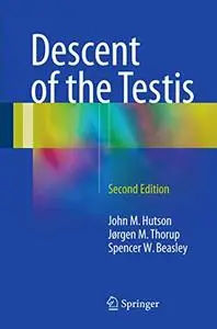 Descent of the Testis
